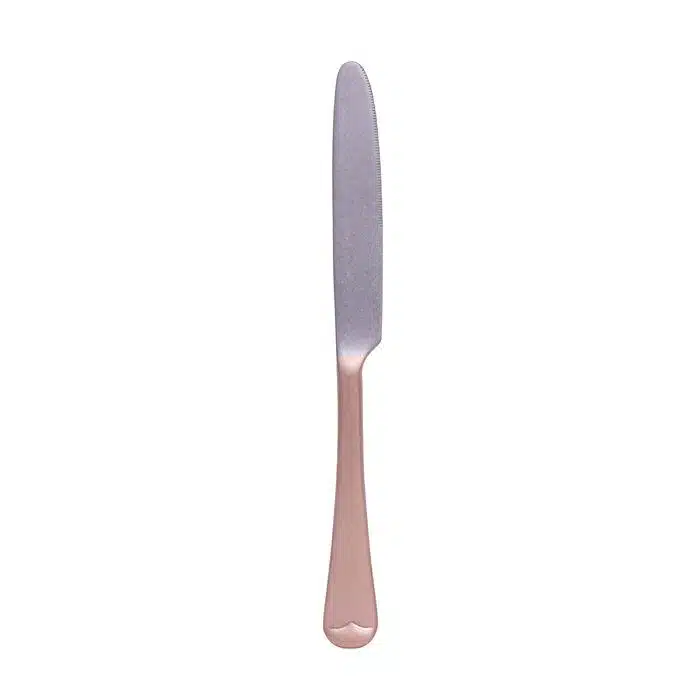 Table Knife - Vintage - 22,2 cm