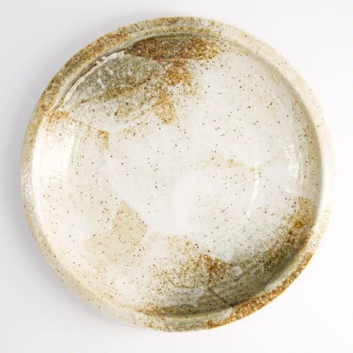 Tokyo Design Studio - Yukishino - Dinner Plate - 24.8x3.5cm - Image 2