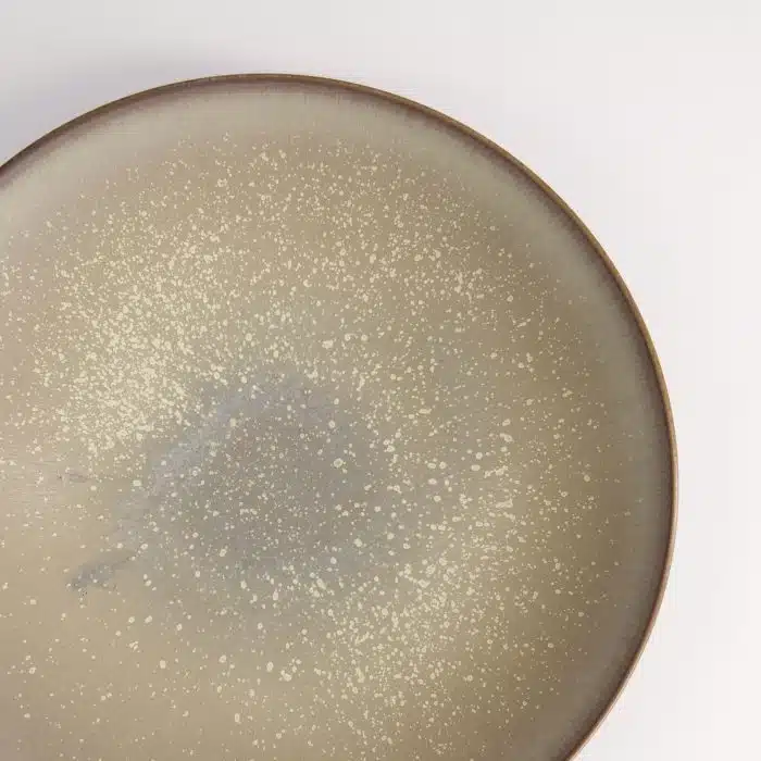 Tokyo Design Studio - Large Plates - Round Plate - Grey - 24x5cm - Image 3