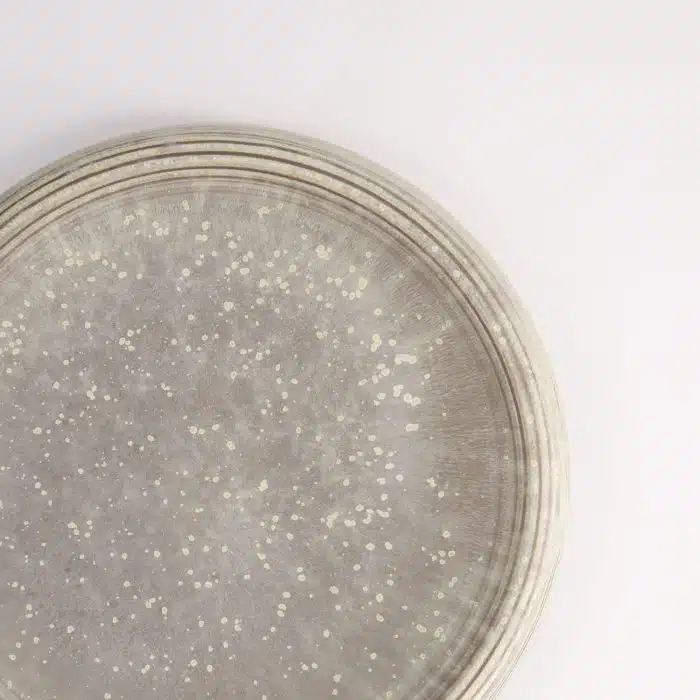 Tokyo Design Studio - Large Plate - Round - Grey - 24x5cm - Image 6