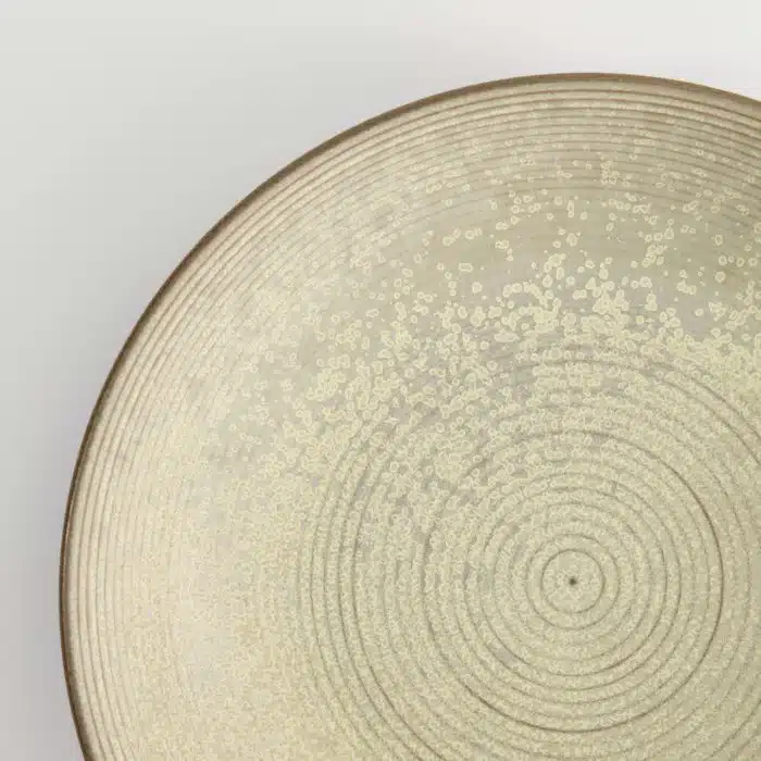 Tokyo Design Studio - Gold Sand Grey Shallow Bowl - 26x5cm - Image 4