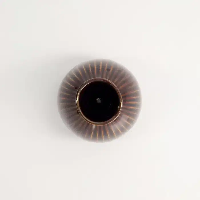 Tokyo Design Studio - Sake Bottle - 8x12cm - 250ml - Ameyu - Brown - Image 4